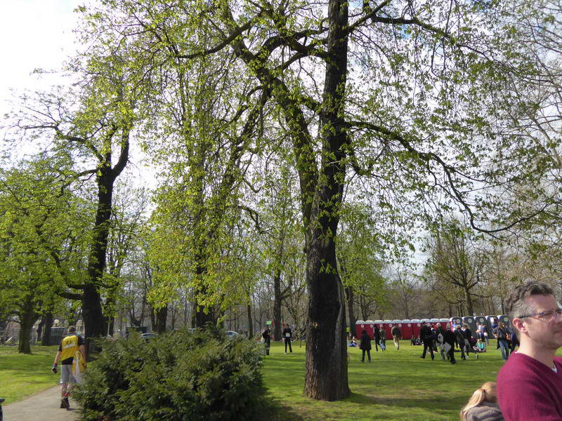 2016-04-10 StM Bonn 49.jpg